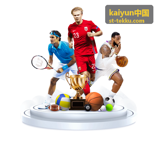 kaiyun中国新手参与指南配图