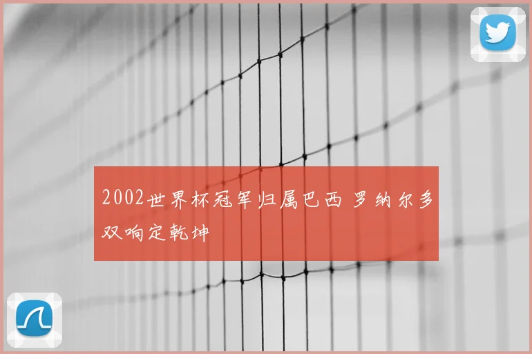 2002世界杯冠军归属巴西 罗纳尔多双响定乾坤