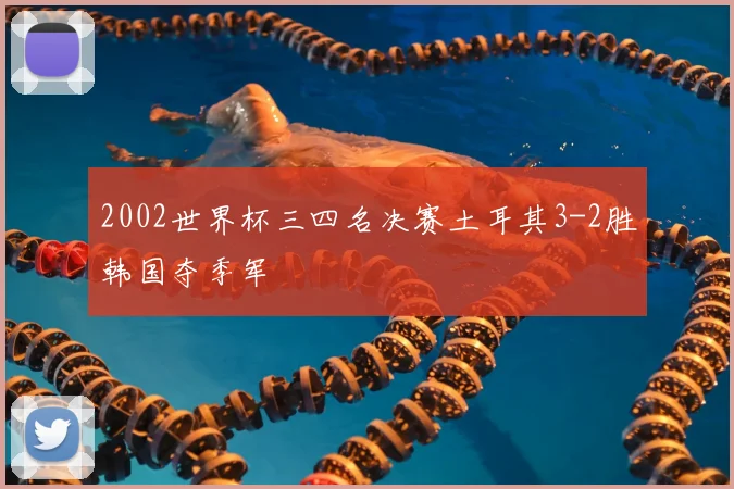 2002世界杯三四名决赛土耳其3-2胜韩国夺季军