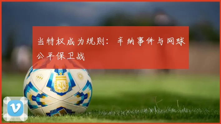 当特权成为规则:辛纳事件与网球公平保卫战