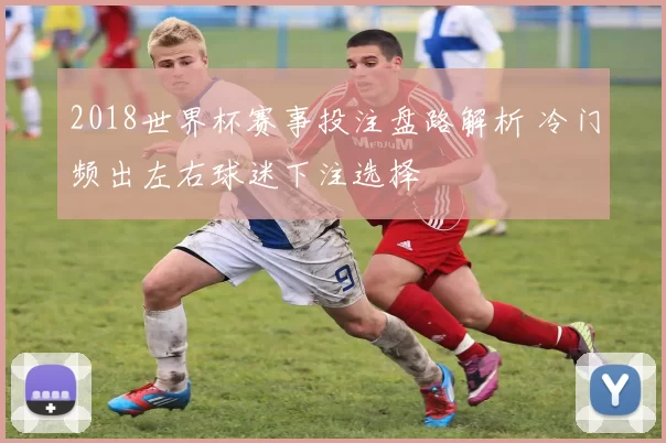 2018世界杯赛事投注盘路解析 冷门频出左右球迷下注选择